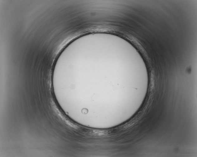 X0000116160794201001041113