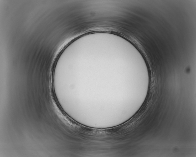X0000116160795201001041113