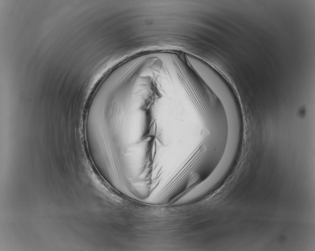X0000116160797201001041113