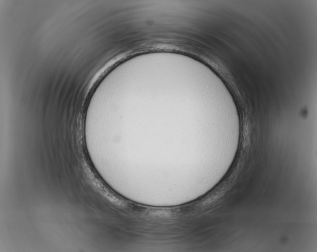 X0000116160798201001041113