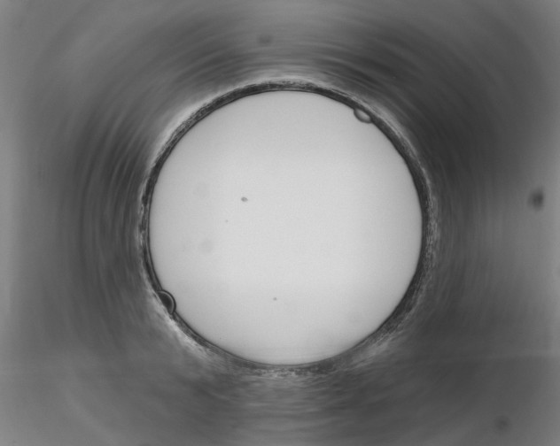 X0000116160799201001041113