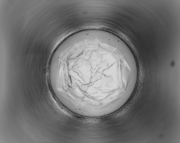 X0000116160802201001041113