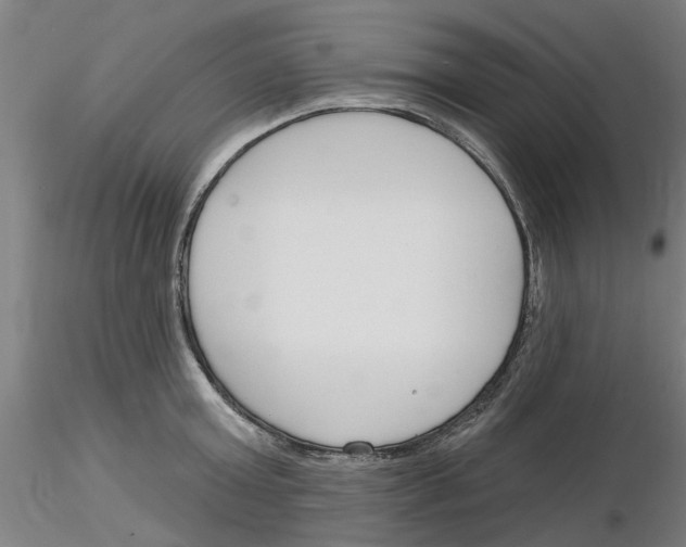 X0000116160803201001041113