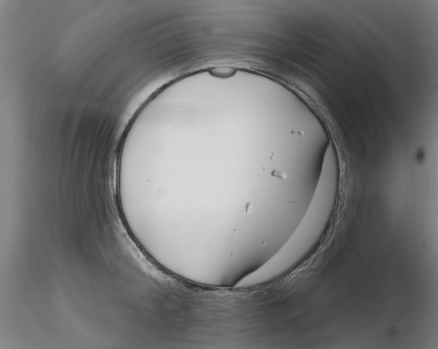 X0000116160804201001041113