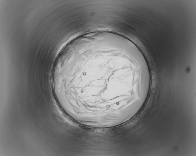 X0000116160806201001041113