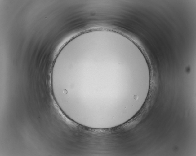 X0000116160807201001041113