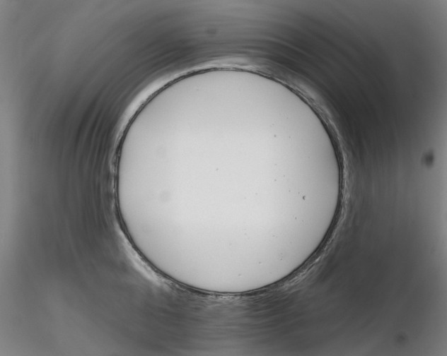 X0000116160808201001041113