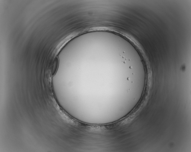 X0000116160809201001041113