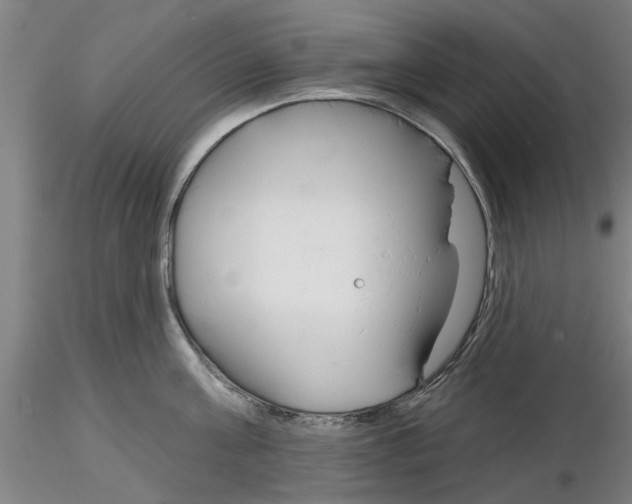X0000116160811201001041113