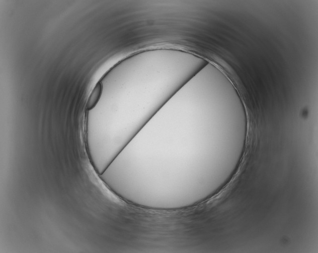 X0000116160812201001041113