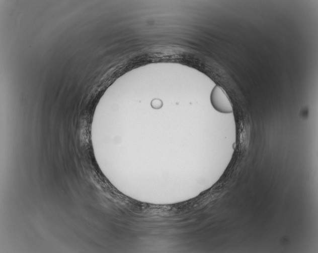 X0000116160819201001041112