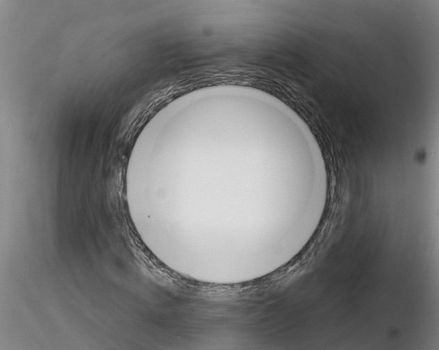 X0000116160820201001041112