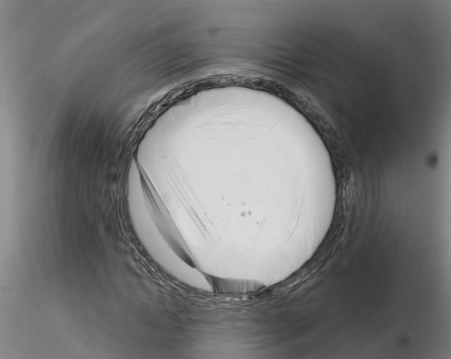 X0000116160822201001041112