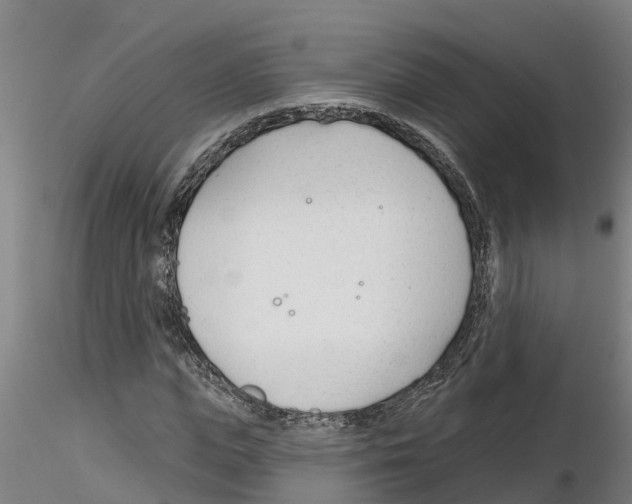 X0000116160823201001041112