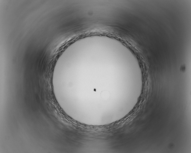 X0000116160824201001041112