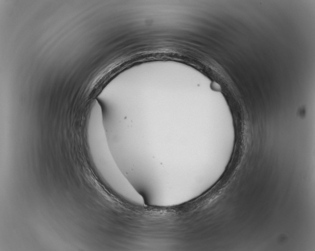 X0000116160826201001041112