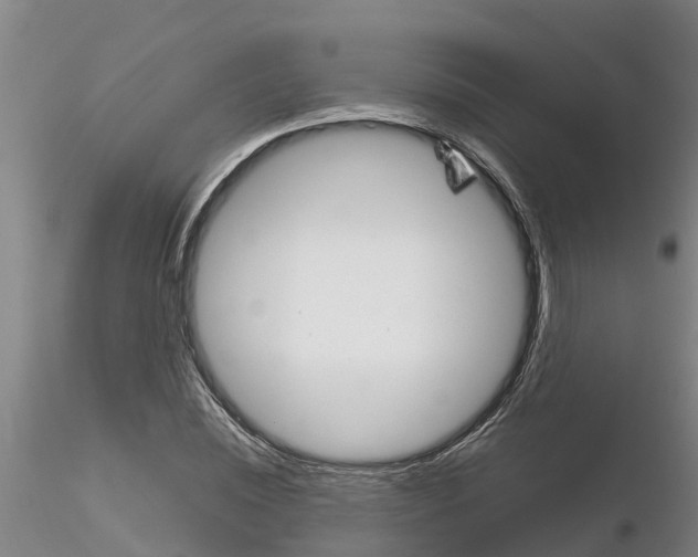 X0000116160828201001041112