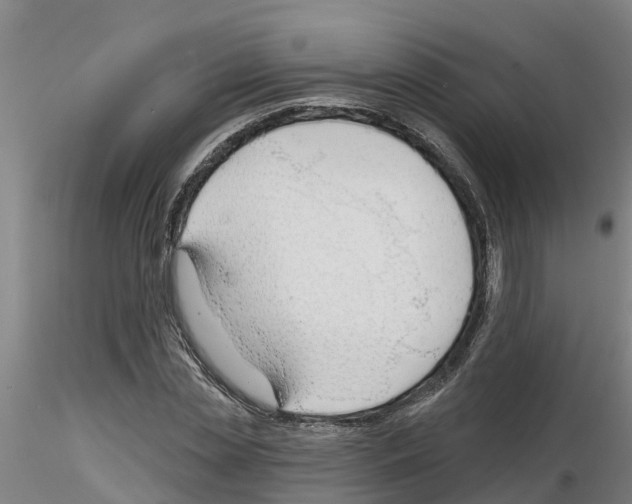 X0000116160829201001041112