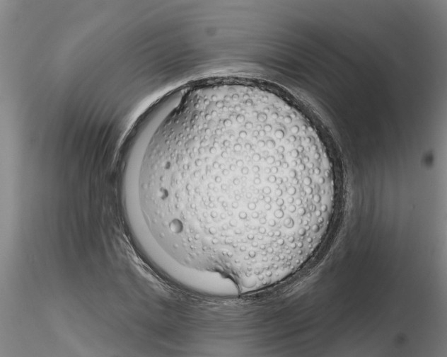 X0000116160830201001041112
