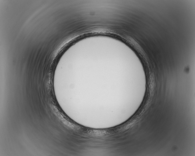 X0000116160831201001041112