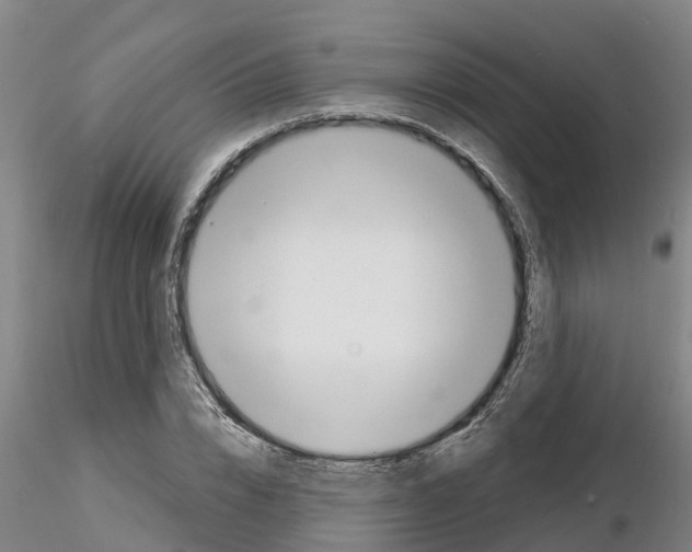 X0000116160832201001041112