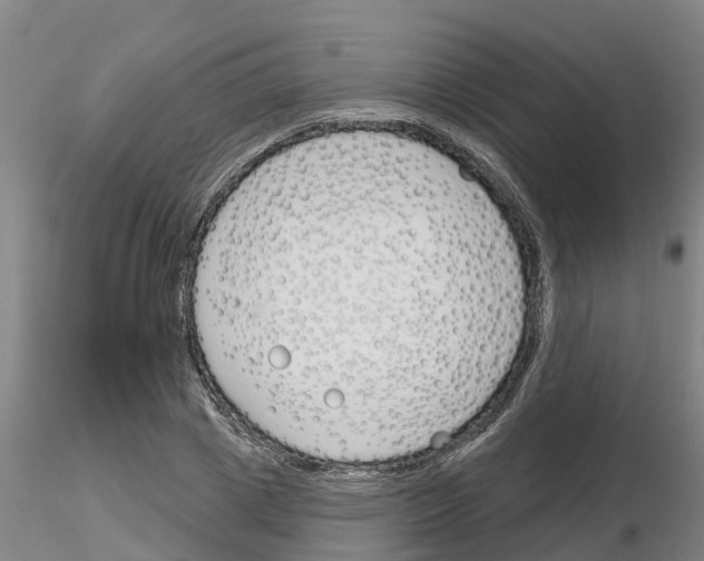 X0000116160833201001041112