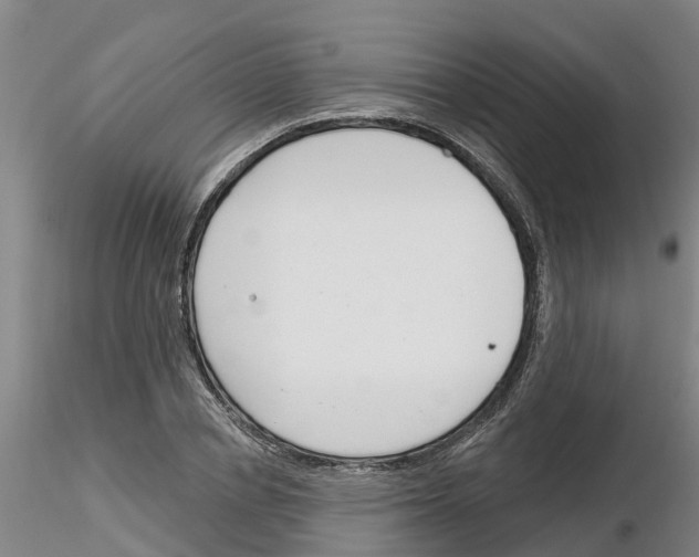 X0000116160834201001041112