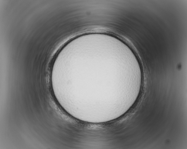 X0000116160835201001041112