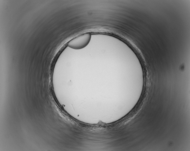 X0000116160837201001041112