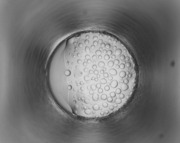 X0000116160838201001041112