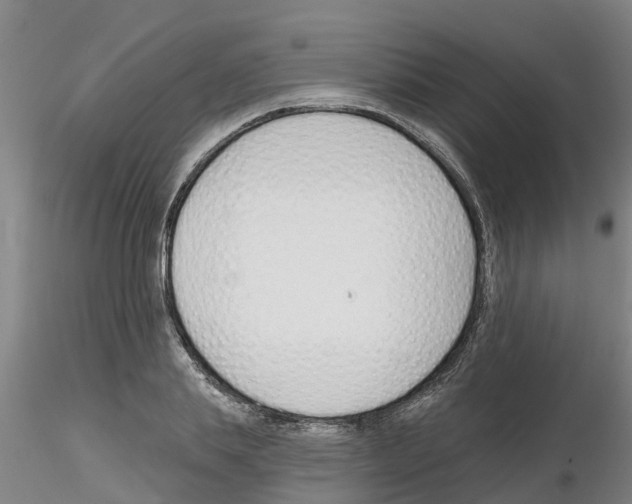 X0000116160839201001041112