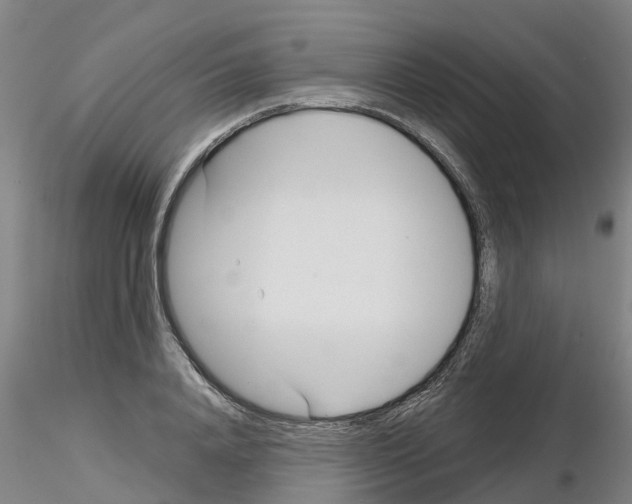 X0000116160840201001041112