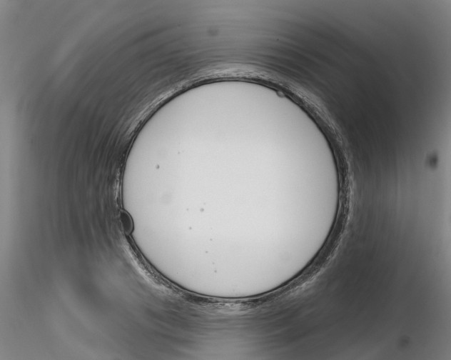 X0000116160841201001041112