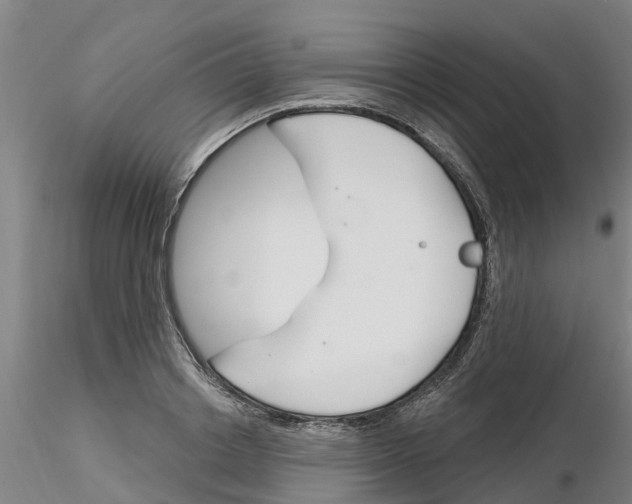 X0000116160842201001041112