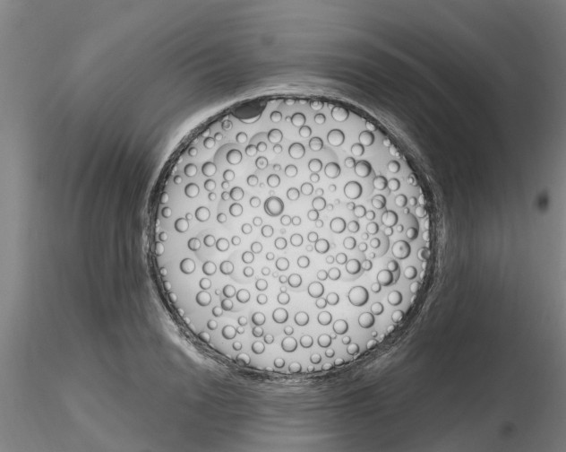 X0000116160846201001041112