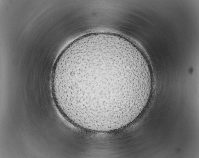 X0000116160847201001041112