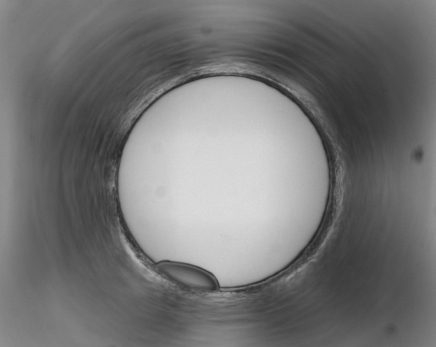 X0000116160849201001041113