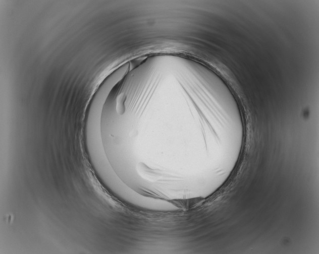 X0000116160850201001041113