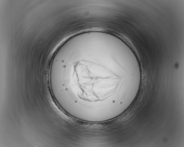 X0000116160851201001041113