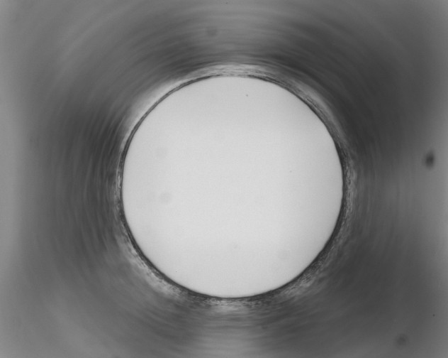 X0000116160852201001041113