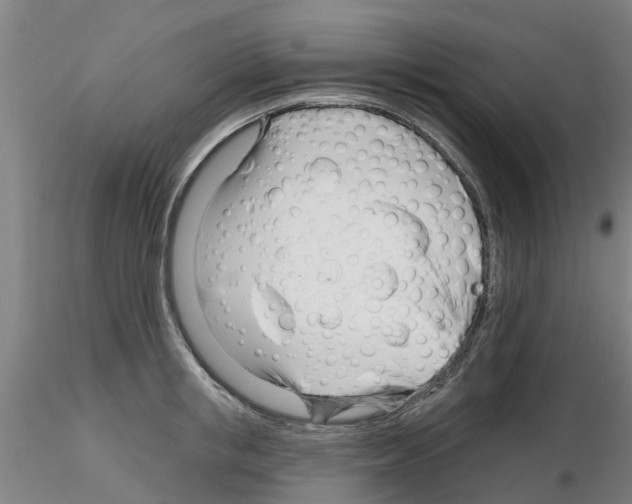 X0000116160853201001041113