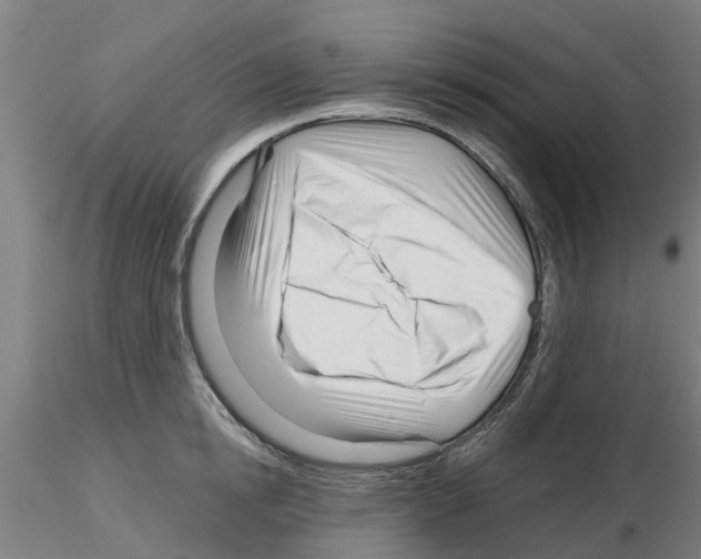 X0000116160854201001041113