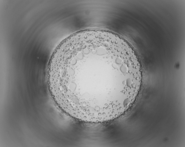 X0000116160856201001041113
