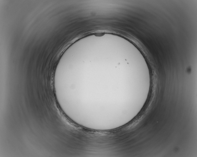 X0000116160857201001041113