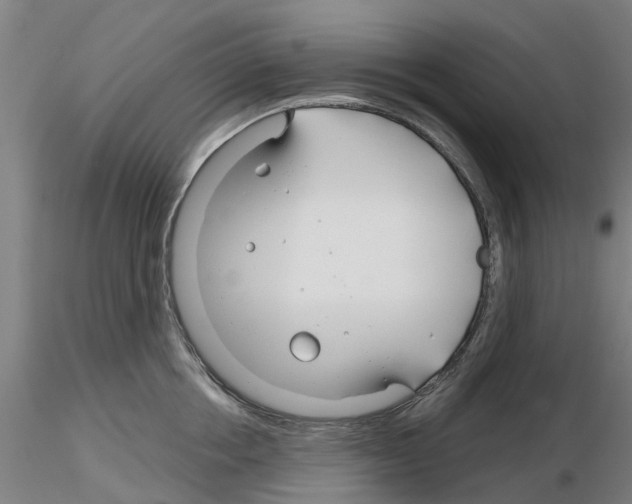 X0000116160858201001041113