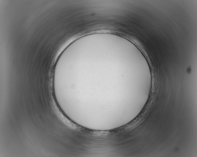 X0000116160859201001041113