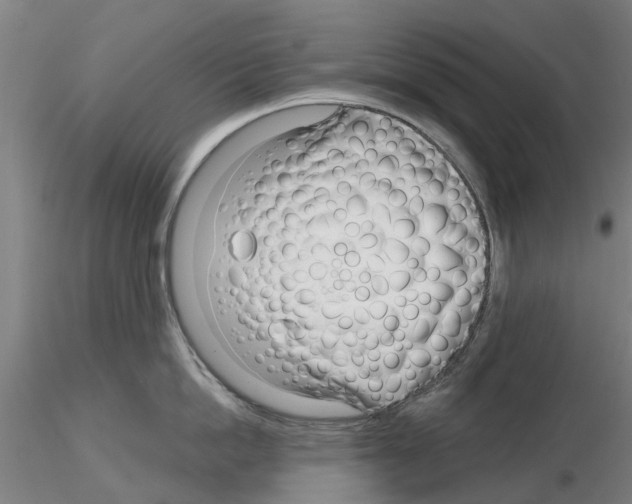 X0000116160862201001041113