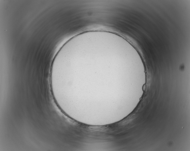 X0000116160863201001041113