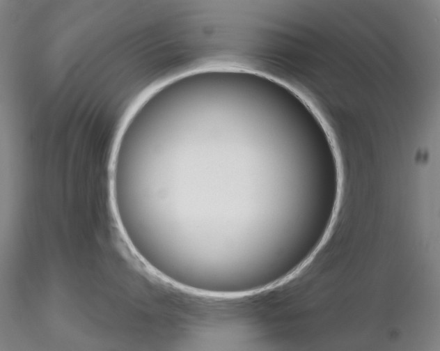 X0000116160864201001041113