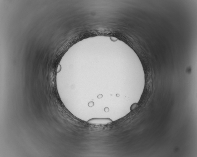 X0000116160866201001041112